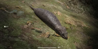 ソ連の地でUMAを捕獲せよ！「ツチノコ」を捕まえてフェイスペイント解禁！【メタルギアΔ小ネタ】貴重な...