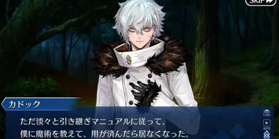 【FGO】言っちゃ悪いけど対獣魔術そのものが魔術師向けじゃなくて魔術使いしか使わないような代物に見え...