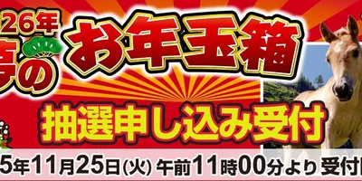 ヨドバシ・ドット・コム「2026年 夢のお年玉箱」の抽選申し込みが25日11時スタート