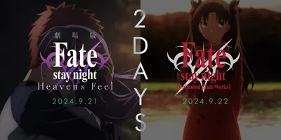 『Fate/stay night』20周年記念コンサートCMが公開。壮大な生演奏と映像により物語を追...