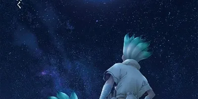 家族に薦めたいアニメは？ 「Dr.STONE」、「おでかけ子ザメ」、「夏目友人帳」、「銀魂」など、人...