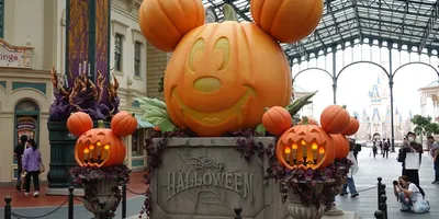 高気温で大人気パレードは中止に…！ 東京ディズニーランドの“Dハロ”が明日開幕！