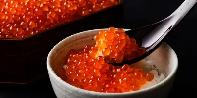 【食べ放題ニュース】蟹、いくら、味噌ラーメン！激うま「北海道グルメ」を食べまくるホテルブッフェが最高...