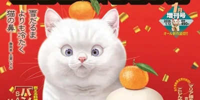 「バンビ～ノ！」読み切りがBCオリジナル増刊に、熱き料理人バンビが札幌で奮闘