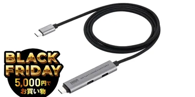 珍種発見。ハブとUSB-Cのキメラが生まれたよ