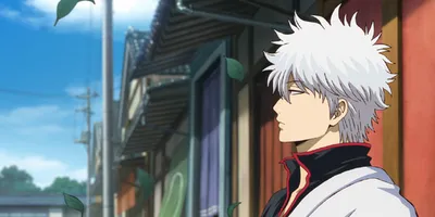 「新劇場版 銀魂 -吉原大炎上-」杉田智和、阪口大助、釘宮理恵のコメントも到着…「死力を尽くして頑張...