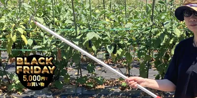 片手で扱えて立ったまま草刈りできる「草取りヅメ」で伸びまくる雑草をやっつけろ